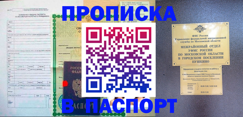 временная регистрация госуслуги в Дубне